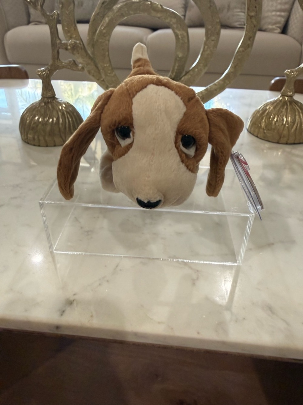 Ty Brown and White Dog Beanie Boo Plush - Picture 3 of 8
